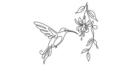Naklejka premium Hummingbird and Fuchsia Flower Line Art - Isolated Vector Illustration