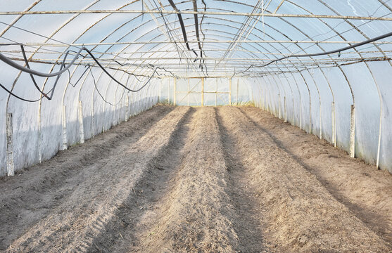 The interior of a greenhouse with soil prepared for planting.