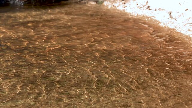 Sunlight Shimmering on Clear Shallow Stream Water Over Golden Sand
