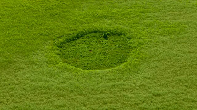 UFO trace formation visible in expansive green field. Elevated nature scenery reflecting unexplained markings paranormal symbolism and speculative alien activity. Remote countryside setting
