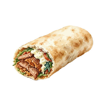 vector watercolor burrito