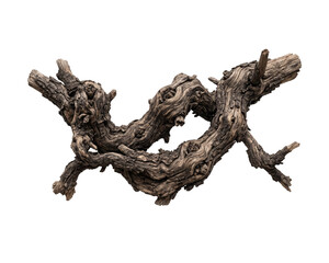 Fototapeta premium Knotted tree branch is isolated on a black background