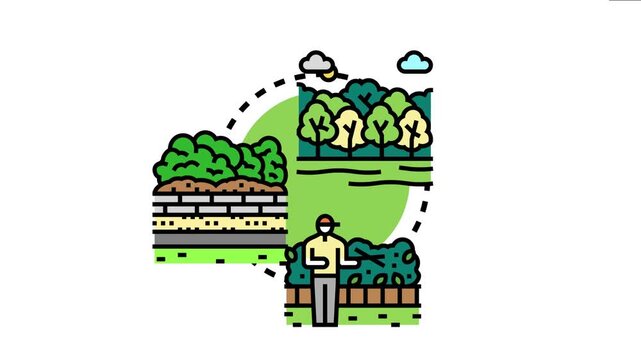 Landscaping professional maintaining a green hedge, boundary planning, planting, and proper garden care for an organized outdoor space