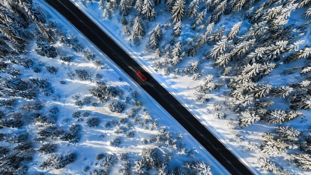 aerial top view of a red car driving on a straight black asphalt road through dense snow covered evergreen forest in bright winter sunlight