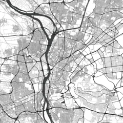 Minimal vector city map of Cairo with streets, parks and Nile River © supplement