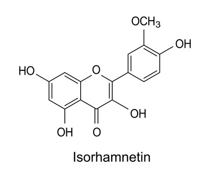 Isorhamnetin chemical formula, molecule structure on white background
