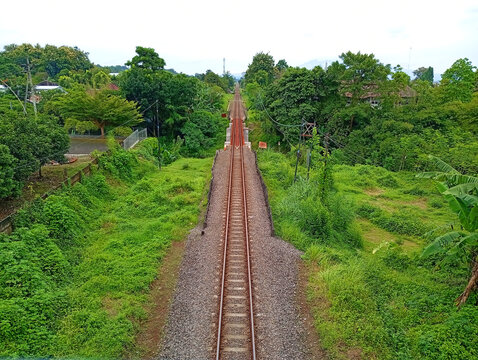Straight narrow railway tracks stretching through dense green trees and tropical foliage with railroad