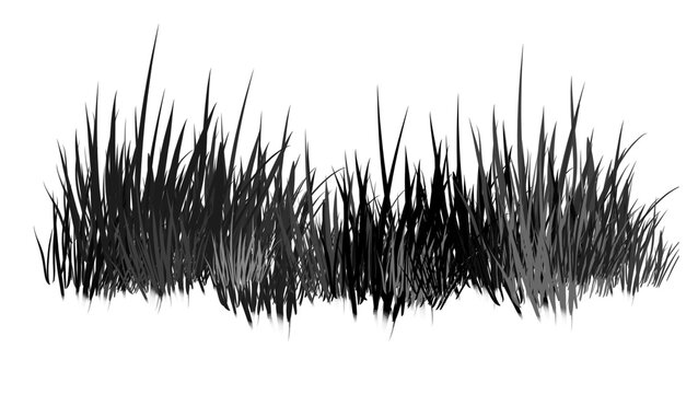 Dense black grass silhouette isolated on white background