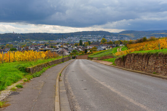Scenic Autumn Road Leading to R&uuml;desheim Am Rhein with Golden Vineyards