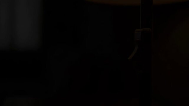 ?Turning off a lamp with a hand gesture in a cozy room setting