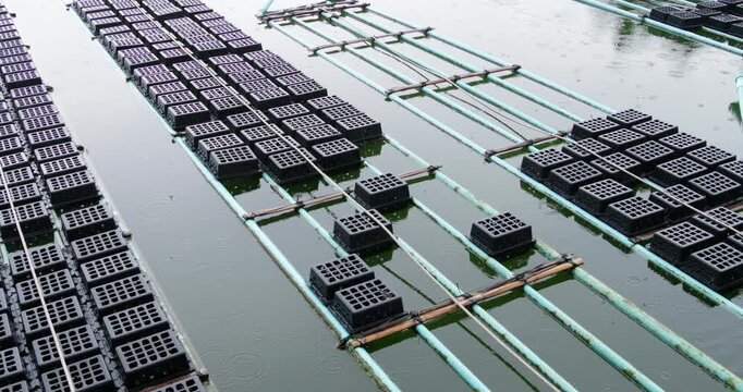 Aerial perspective showcasing soft shell crab farming with floating rafts in tranquil waters.