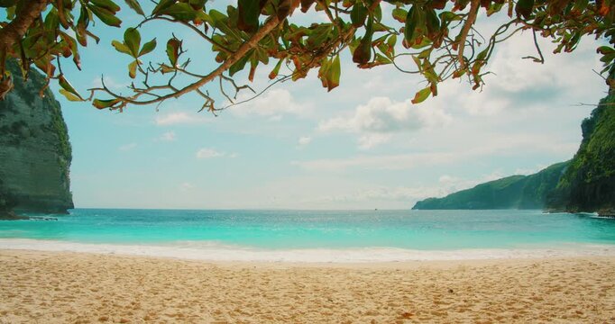 Tropical leaves frame the turquoise ocean water and white sand of Kelingking beach Nusa Penida Bali