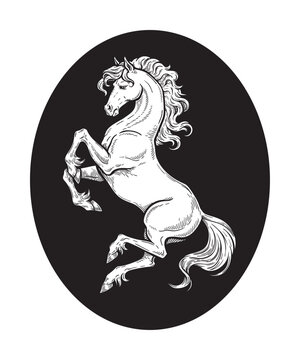 Heraldic Rearing Horse Vintage Engraving Vector Illustration, Medieval Stallion Emblem, Hand Drawn Black and White Line Art