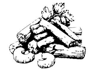 Obraz premium Hand Drawn Celery Root and Stalks Illustration