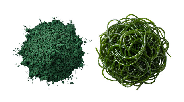 Organic Spirulina Powder and Fresh Seaweed Noodles Superfood Ingredient Isolated Element Cutout PNG