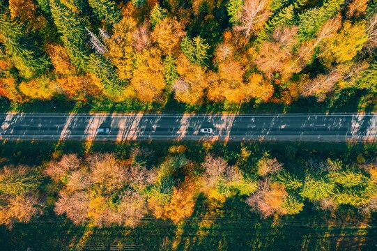 Roadway cutting through vibrant autumn landscape filled with mixed green and golden foliage