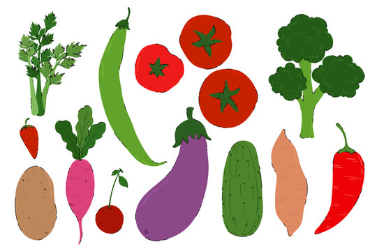 Hand Drawn Vegetables Vector Set. Organic farm fresh veggies, healthy food icons. Flat style cartoon garden vegetables. Natural vegan food.