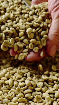 A close-up view of hands sifting through a pile of green coffee beans, showcasing the texture and quality of the beans in an energetic marketplace during daylight.