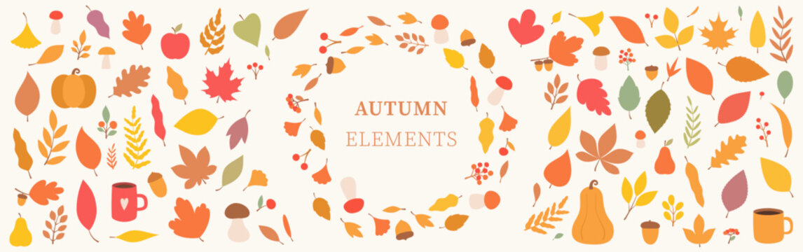 Flat autumn elements featuring colorful leaves, mushrooms, pumpkins, pears, berries, acorns, mugs and a decorative wreath, ideal for seasonal branding, invitations, cards and fall designs