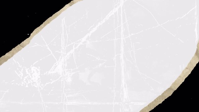 Abstract microscopic view of biological fiber structures in dark background.