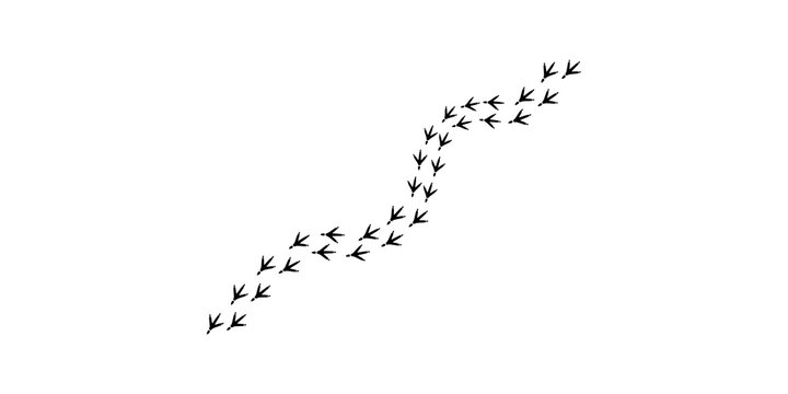 Black bird animal foot print path way trail track in repetitive pattern on isolated transparent background for design element.