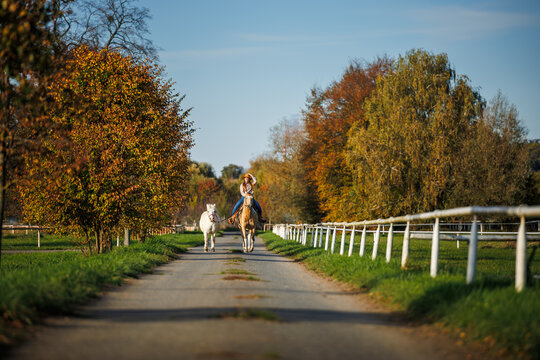 Female rancher riding horse and leading white pony along country road in autumn animal farm