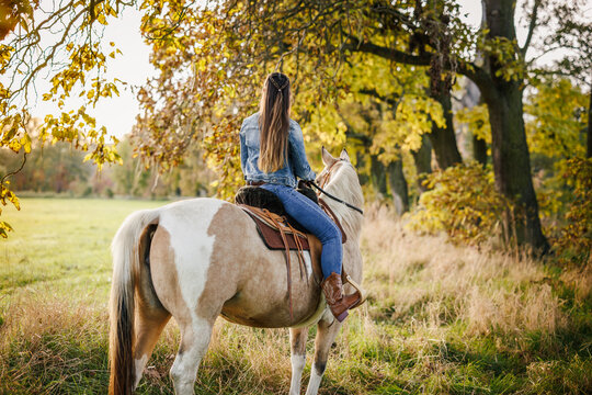 Cowgirl riding horse in autumn countryside. Young woman  enjoying horseback riding in western style