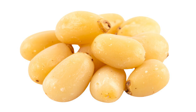 pine nuts, isolated on transparent background, PNG