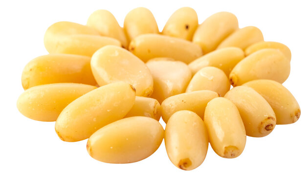 pine nuts, isolated on transparent background.
