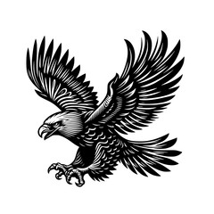 Fototapeta premium Black and white vector illustration of a flying eagle with spread wings and sharp talons in detailed woodcut style, isolated on a white background. Hand-drawn vintage bird of prey graphic design eleme