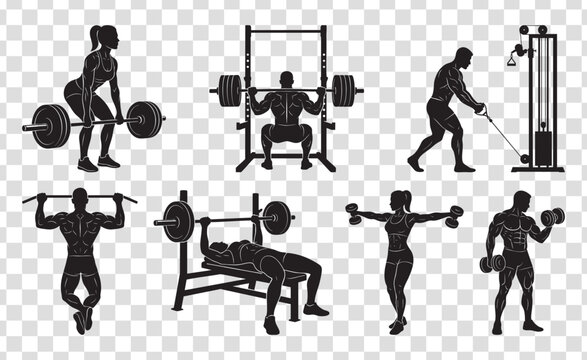 Fitness gym workout vector silhouettes set featuring athletic men and women performing weightlifting, deadlift, bench press, squat, and dumbbell exercises. Isolated bodybuilder training graphic vector