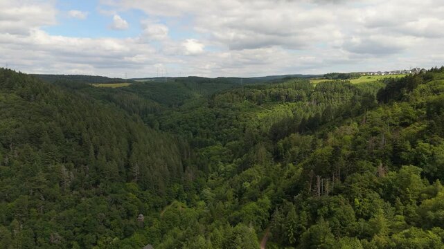 Forest at Moselle valley in summer, coniferous and deciduous trees, rural countryside landscape in Eifel Germany, travel destination, aerial view