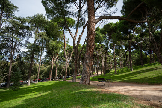 BARRIO DE MONCLOA EN MADRID, FARO DE MONCLOA, ARCO DEL TRIUNFO,  PINTOR ROSALES, PARQUE ROSALES