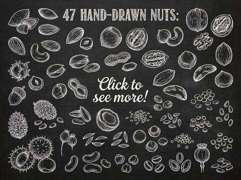 Collection of 47 detailed handdrawn nuts on chalkboard funny animal emoji