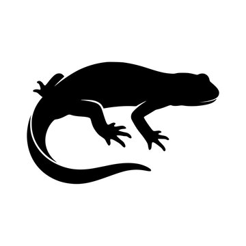 Lizard silhouette vector illustration