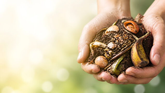 Compost Preparation and Organic Waste Recycling at Home