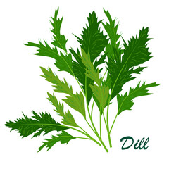 Fototapeta premium Fresh dill. Natural organic herbs. Foods for a healthy lifestyle. Vector image for a poster or banner.