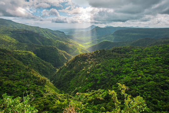 Lush Mountain Landscape in Black River Gorges National Park, Mauritius