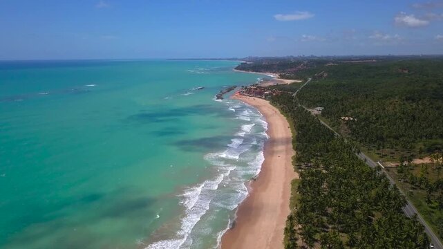 Aerial descent over white sand and turquoise ocean waves alongside dense palm tree groves near Macei&oacute; on a sunny day. Shot in 4K at 25 fps.