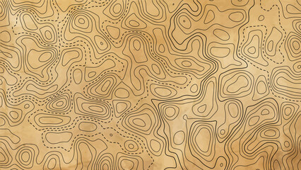 Fototapeta premium Old paper texture with topographic map contours and height numbers