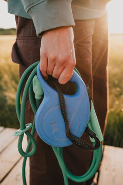 Person holding multiple dog leashes and retractable leash while preparing for outdoor dog walk