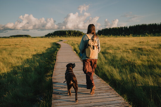 Woman walking with senior dog on wooden boardwalk through wetland meadow during outdoor exercise