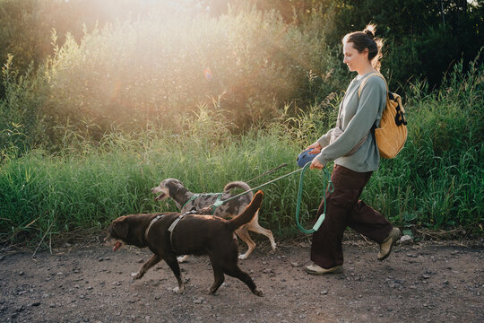 Woman walking two dogs on leashes along a nature trail while carrying a backpack in warm evening sunlight