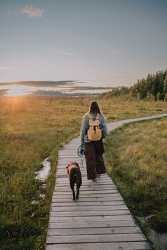 Woman walking with her dog along a wooden boardwalk through grassy nature at sunset