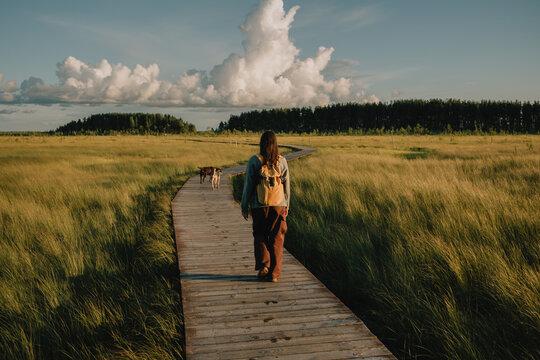 Woman walking with two dogs on wooden boardwalk through grassy field under dramatic clouds