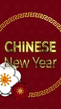 Animation of chinese new year ext over chinese pattern on red background