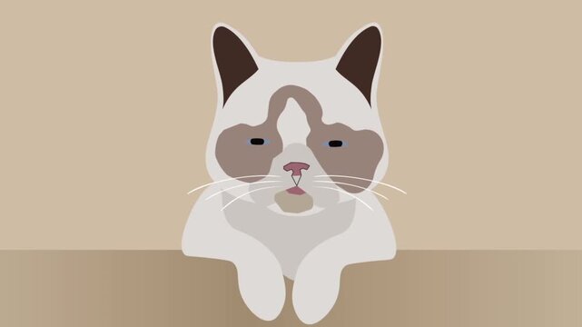 Grumpy cat facial animation video showing funny expression with minimalist design style featuring soft neutral colors and clean vector lines