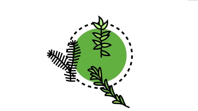 Botanical displaying various plant stems and branches, highlighting elements of plant anatomy and structure for biological study, science education, and natural conceptual design