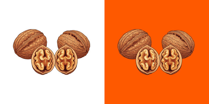Fresh whole and cracked walnuts for healthy food design transparent png