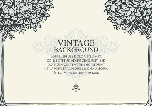 Vector vintage A4 background or frame for a certificate or diploma featuring orange or apple trees. Vector illustration with text space in the style of a medieval engraving.